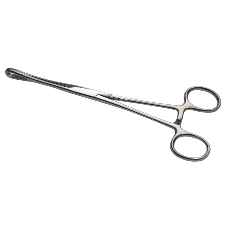 Rampley Sponge Holding Forceps 15cm Bailey Instruments 